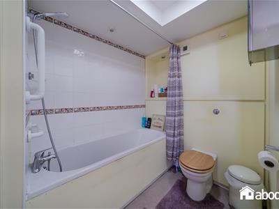 Picture 13